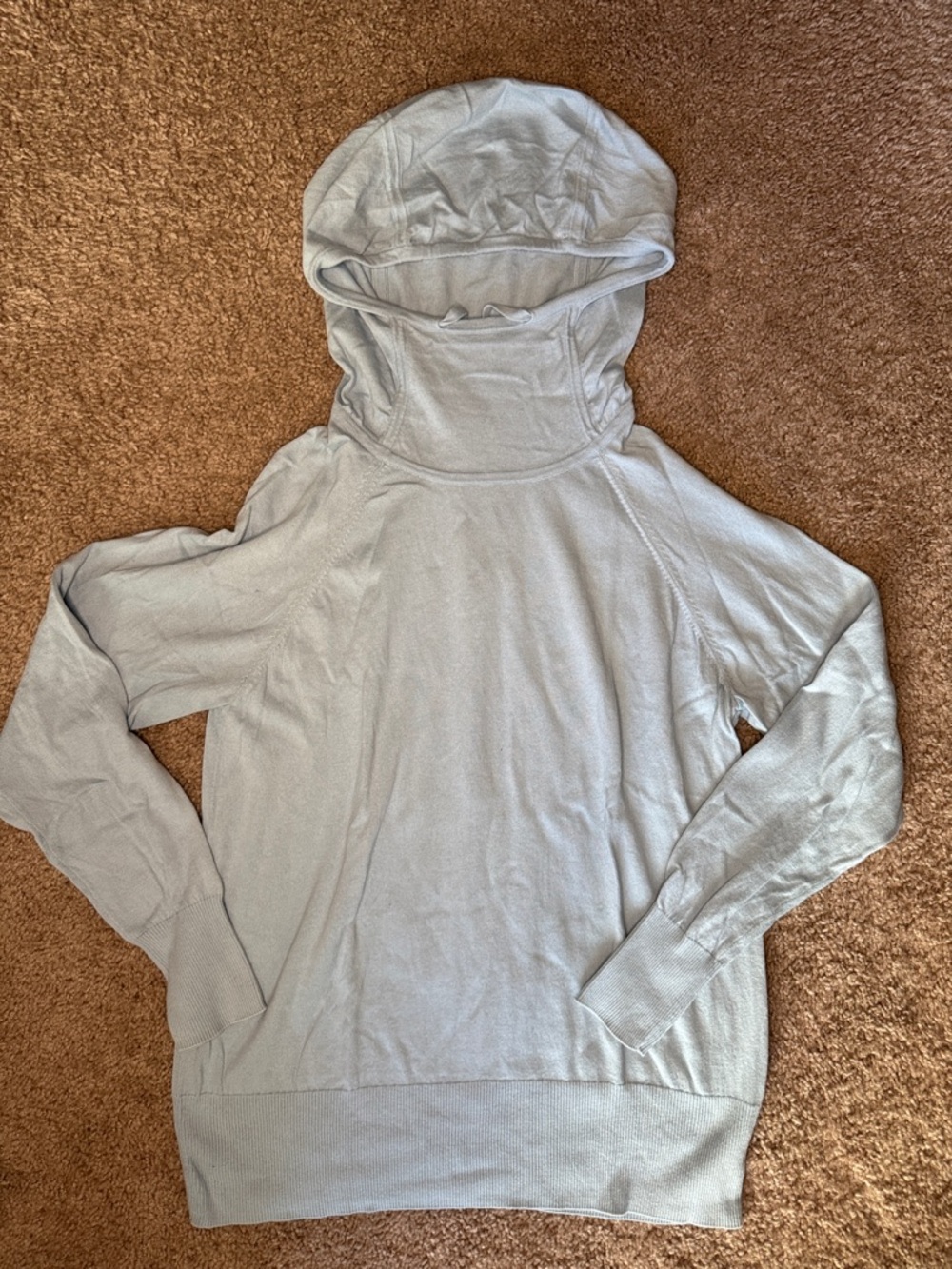 Anatomie Pale Blue Hooded Knit Top